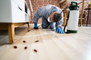 How Residential Pest Control Benefits You