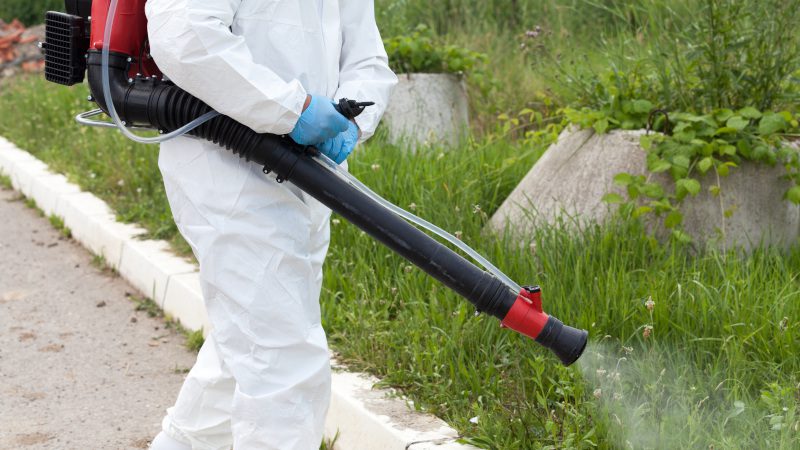 Reasons to Use Professional Tick Removal Services