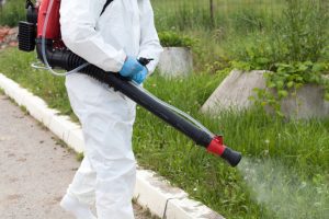 Reasons to Use Professional Tick Removal Services