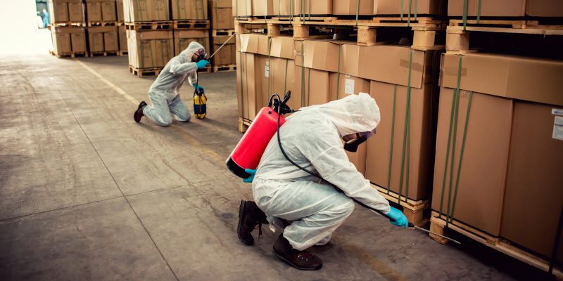Why Every Business Needs Commercial Pest Control Services