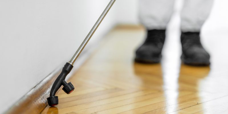 Pest Prevention in Houston, Texas