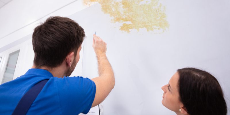Termite Control in Splendora, Texas