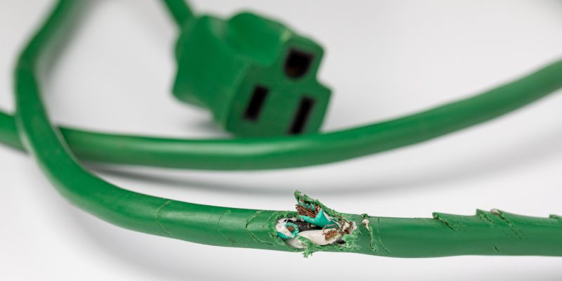 Common Signs You Need Rodent Removal Services