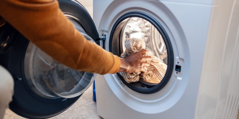 Here’s What to Do After Pest Removal Services