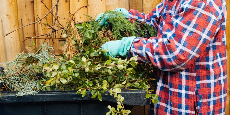 Spring Cleaning Tips to Maximize Pest Prevention