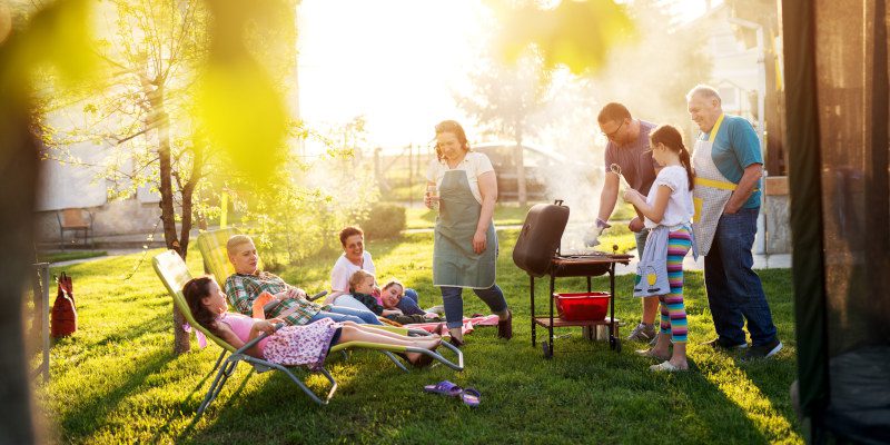 Enjoy Your Backyard with These Three Mosquito Control Tips